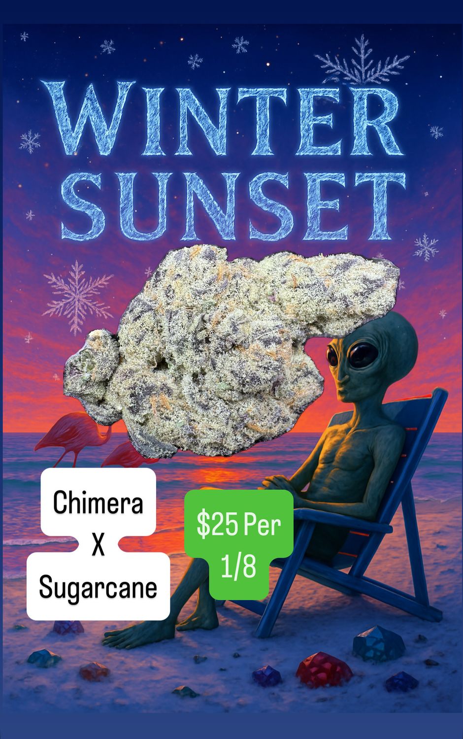 Winter Sunset