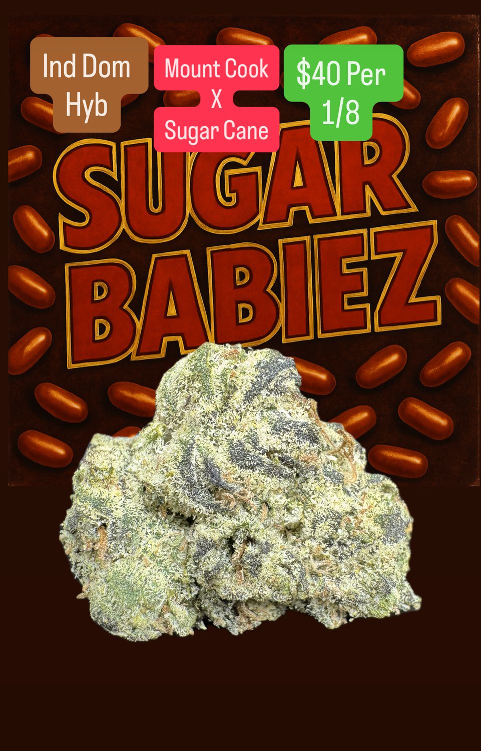 Sugar Babies