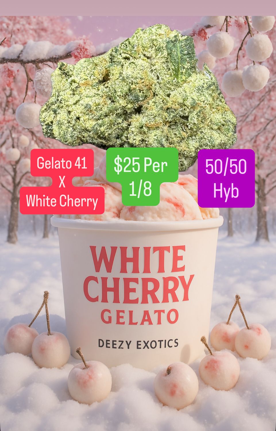 White Cherry Gelato