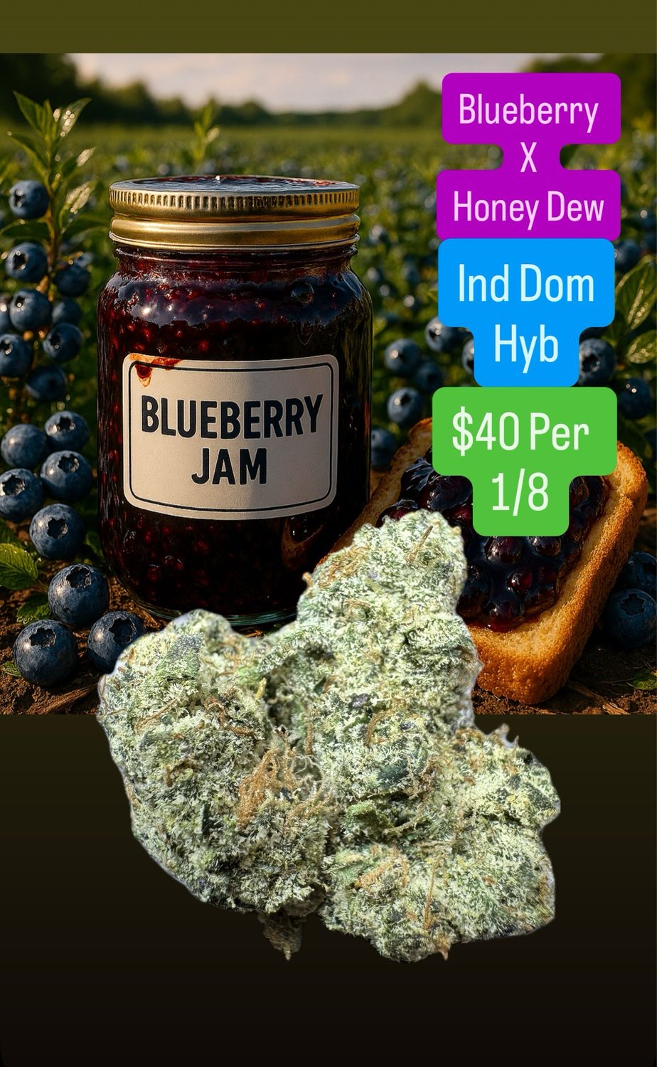 Blueberry Jam