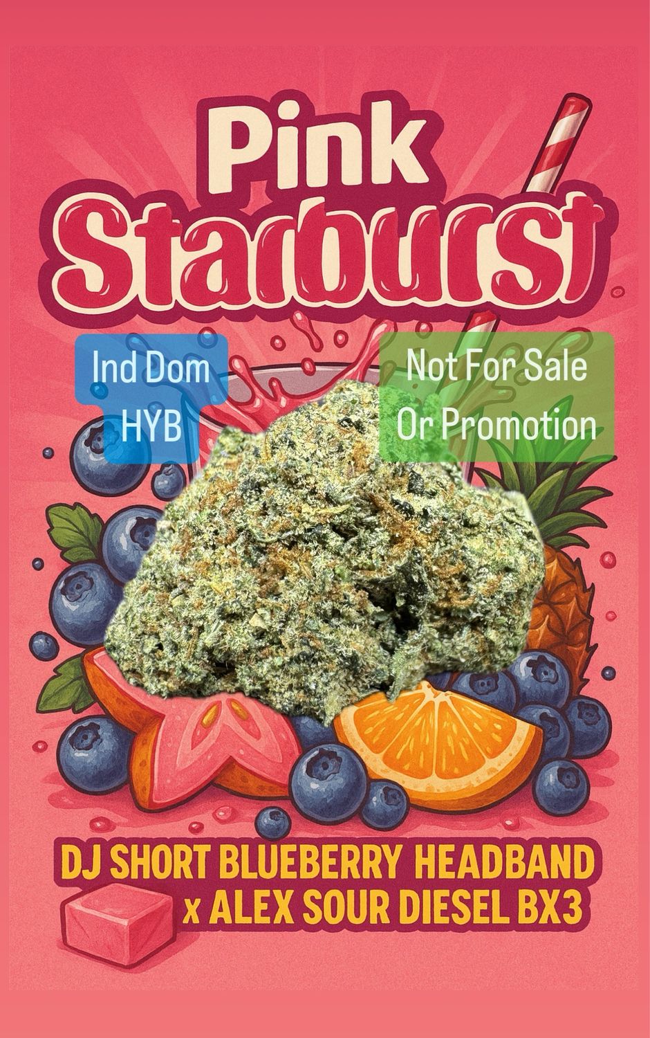 Pink Starburst