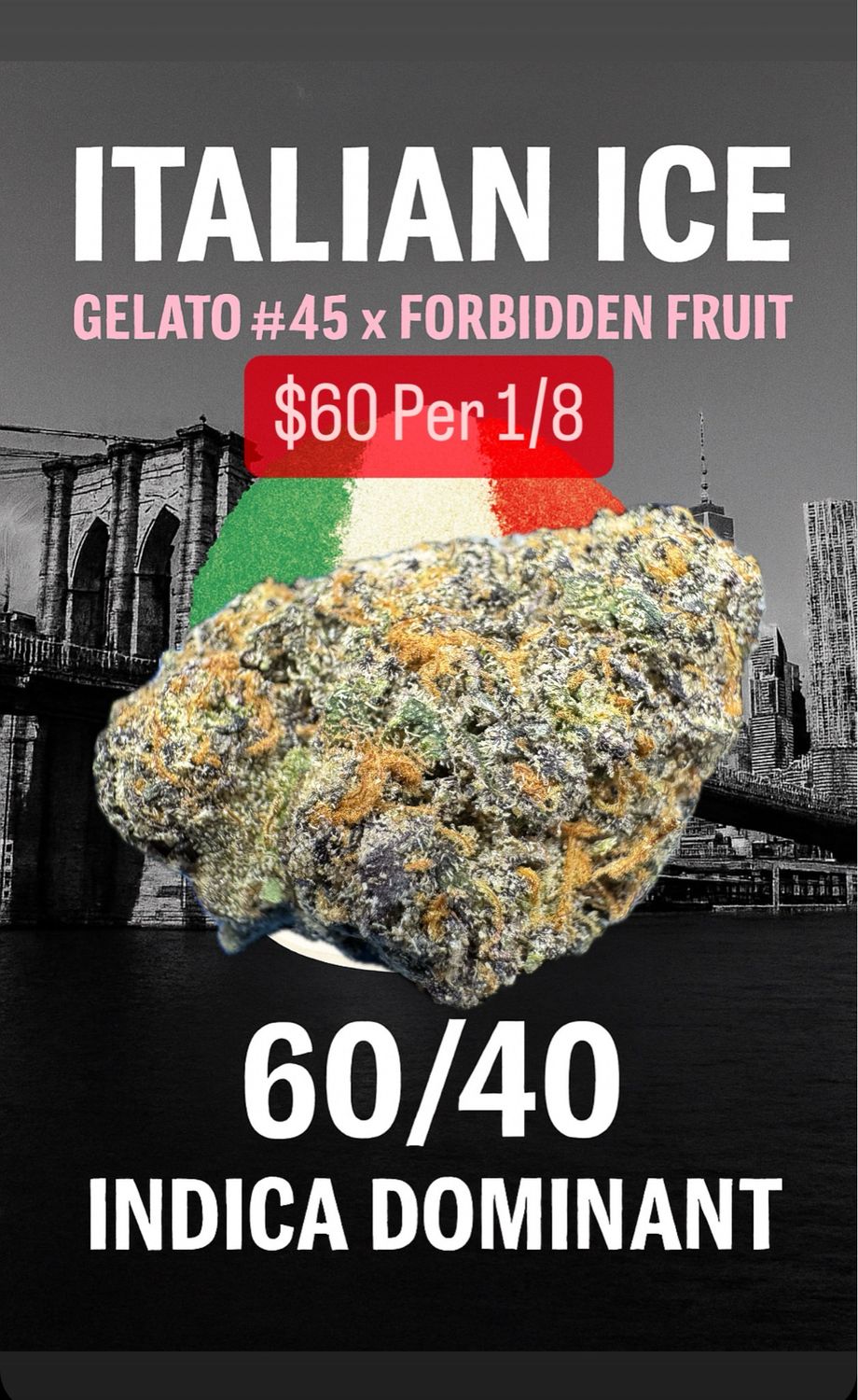 Italian Ice (Breeders Cut)