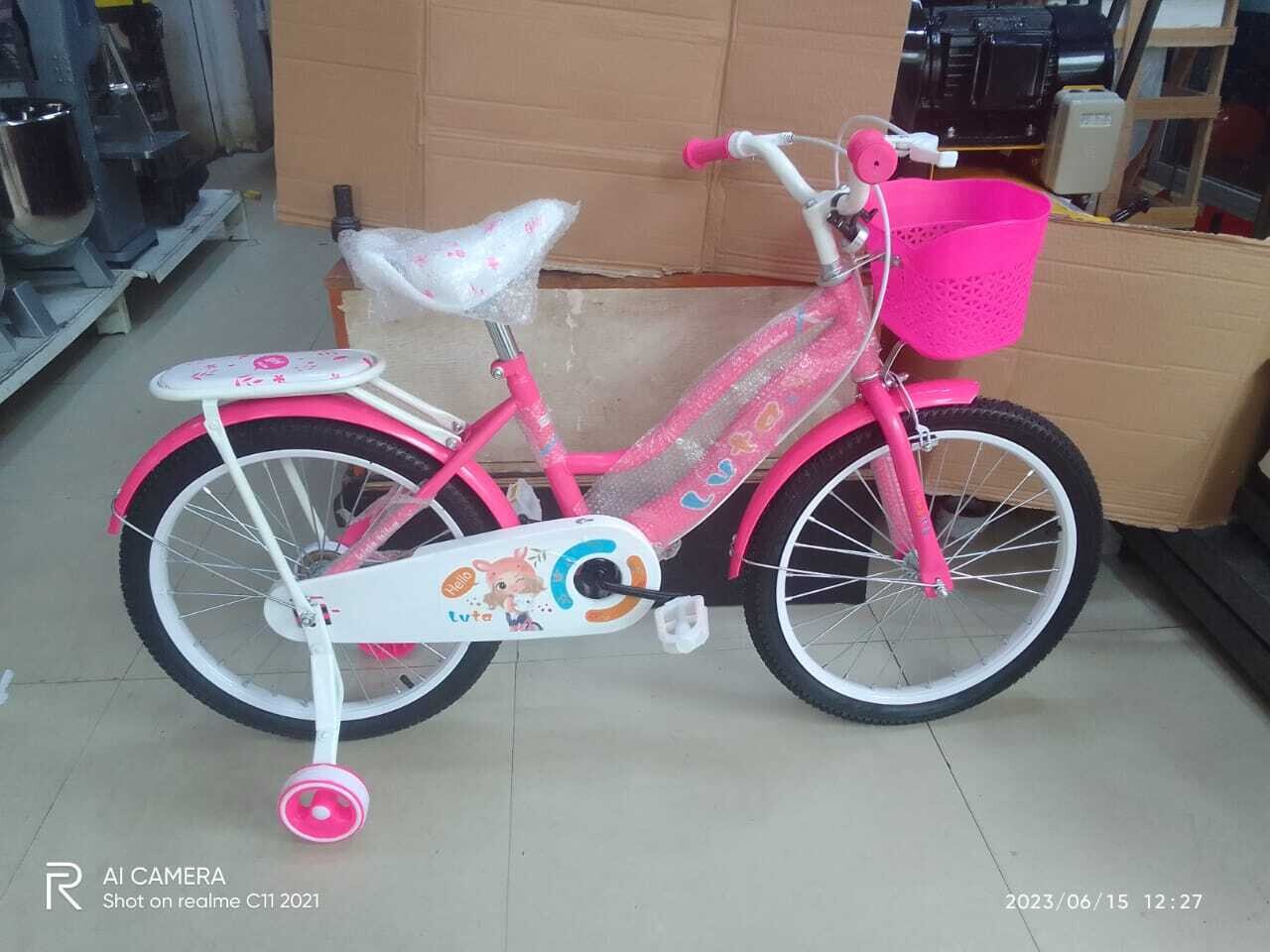 Pink Luta Girls Bike Size 20