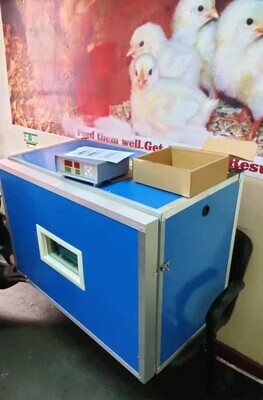Digital Ac Dc Incubator 350 Eggs 160 Watts