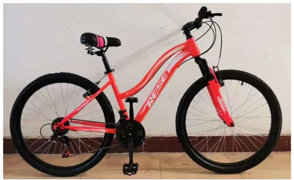 Reset Adult Bike Size 24