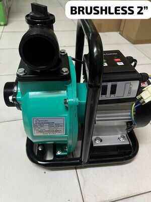 SHIYUAN 2 INCH BRUSHLESS SOLAR DC SURFACE PUMP WITH INBUILT CONTROLLER.