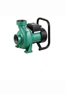 Shiyuan 2 Inch brushless DC Surface Pump With Controller SYBL-50