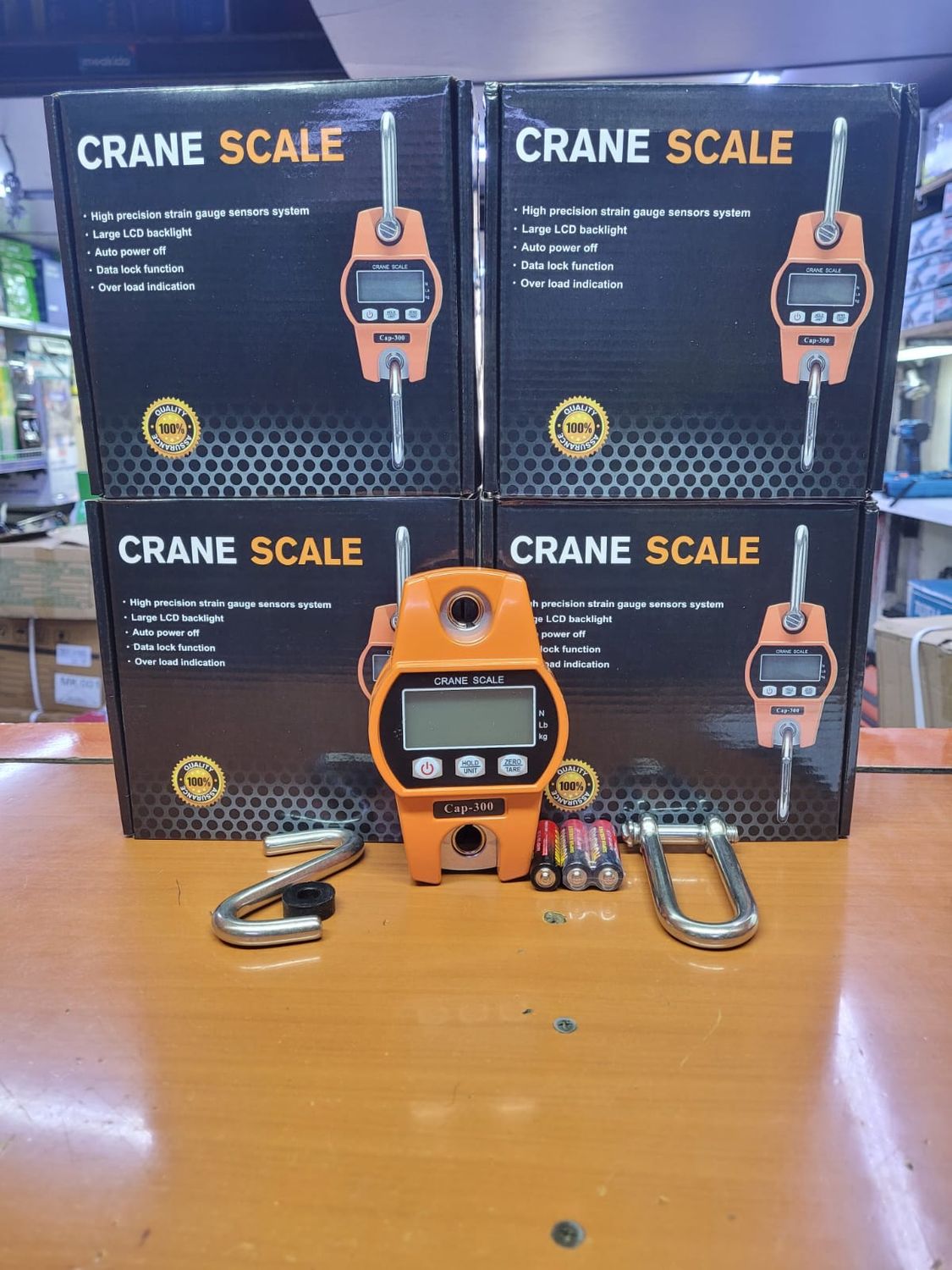 300kg Crane Scale