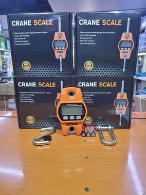 300kg Crane Scale