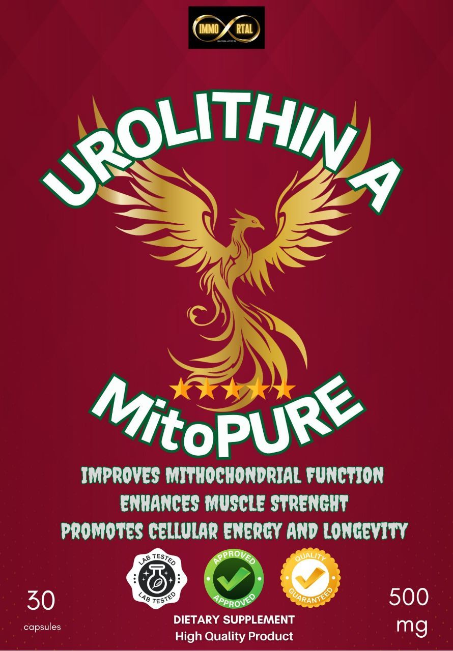 Urolithin A MitoPURE® 500 mg – Supporto Avanzato per Energia Mitocondriale, Longevità Cellulare e Performance Muscolare | 30 Capsule – Qualità Premium Urolithin A MitoPURE® 500 mg – Supporto Avanzato per Energia Mitocondriale, Longevità Cellulare e Performance Muscolare | 30 Capsule – Qualità Premium