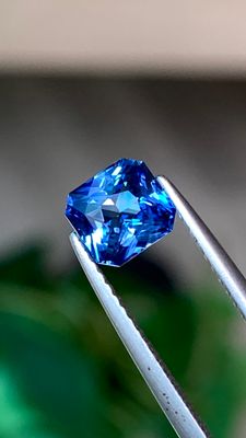 Saphir cornflower naturel du Sri Lanka certifié