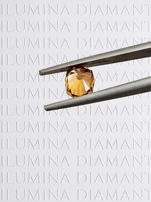 ZIRCON Naturel - Jaune Doré clarté VVS - 1,53 ct - Origine Tanzanie