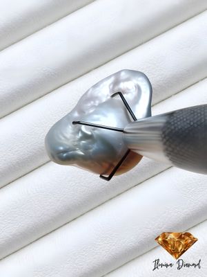 Perle de Keshi Naturelle sans nucléus - 20.19 cts - Tahiti