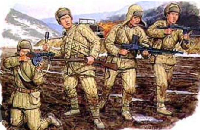 Chinese Volunteers