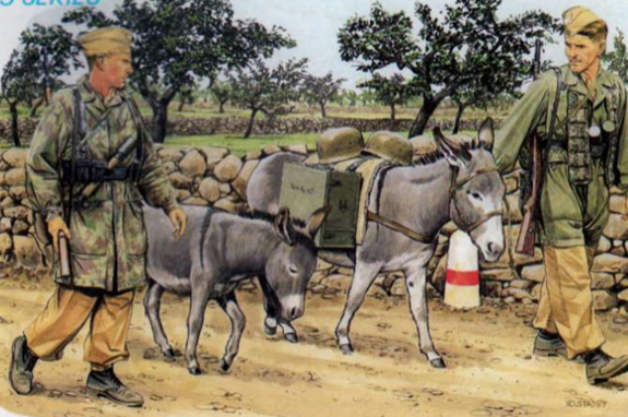 German Fallschirmjäger w/ donkeys