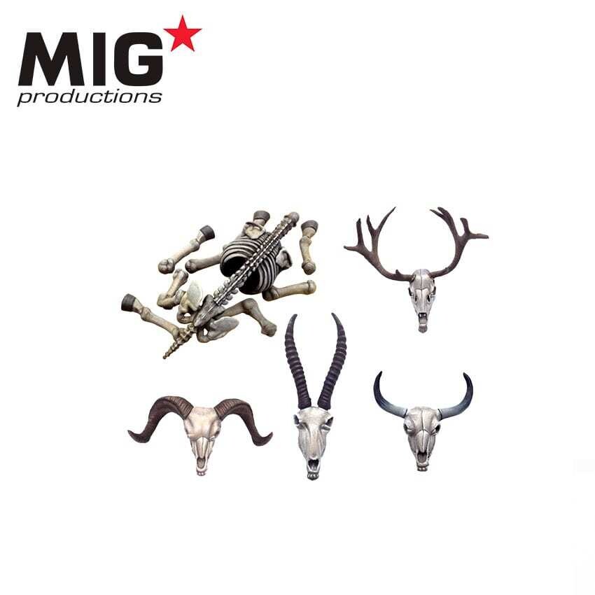 Animal Skulls and Bones