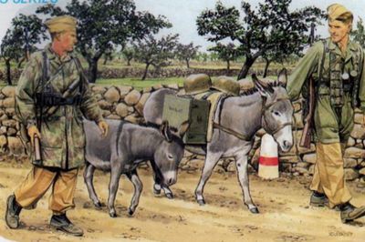German Fallschirmjäger w/ donkeys