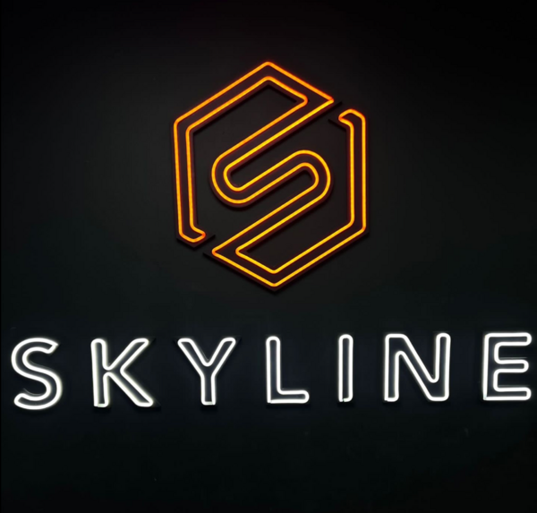 Skyline Computers