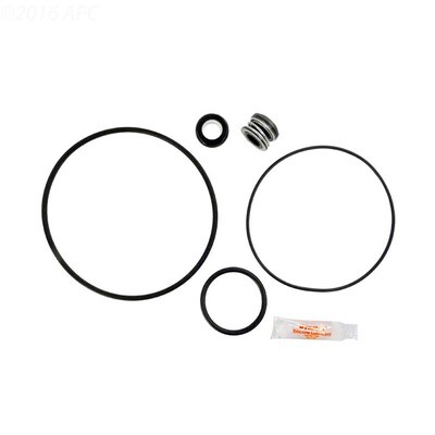 Hayward Matrix Pump Repair Kit