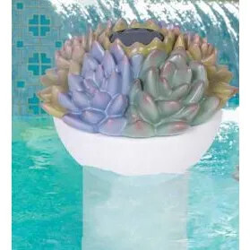 Solar Succulent Chlorinator
