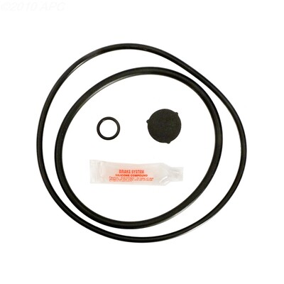 Hayward Pro Series O-Ring Kit