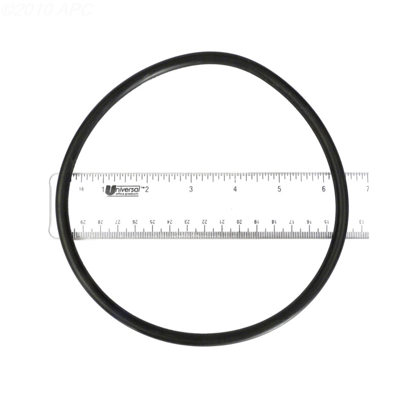 EcoStar Strainer Cover O-Ring