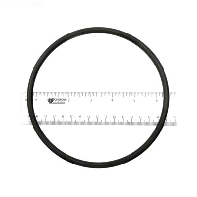 Challenger Lid ORing