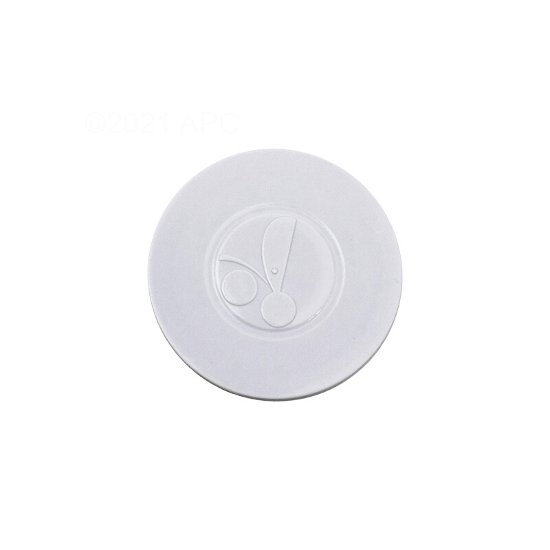 Polaris Hub Cap