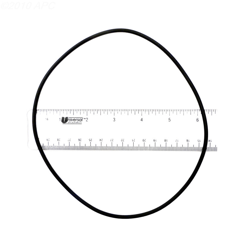 American/Dynamo O-Ring