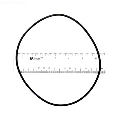 American/Dynamo O-Ring