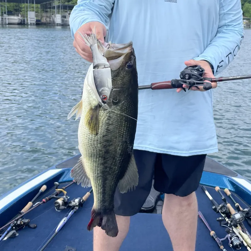 Handmade Glide Baits