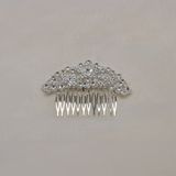 HJ6585H1S CLR/S FLWRS HAIR COMB