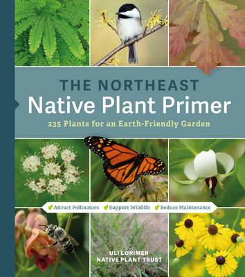 The Northeast Native Plant Primer: 235 Plants for an Earth-Friendly Garden
