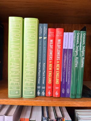 Books by Native Plant Trust Experts