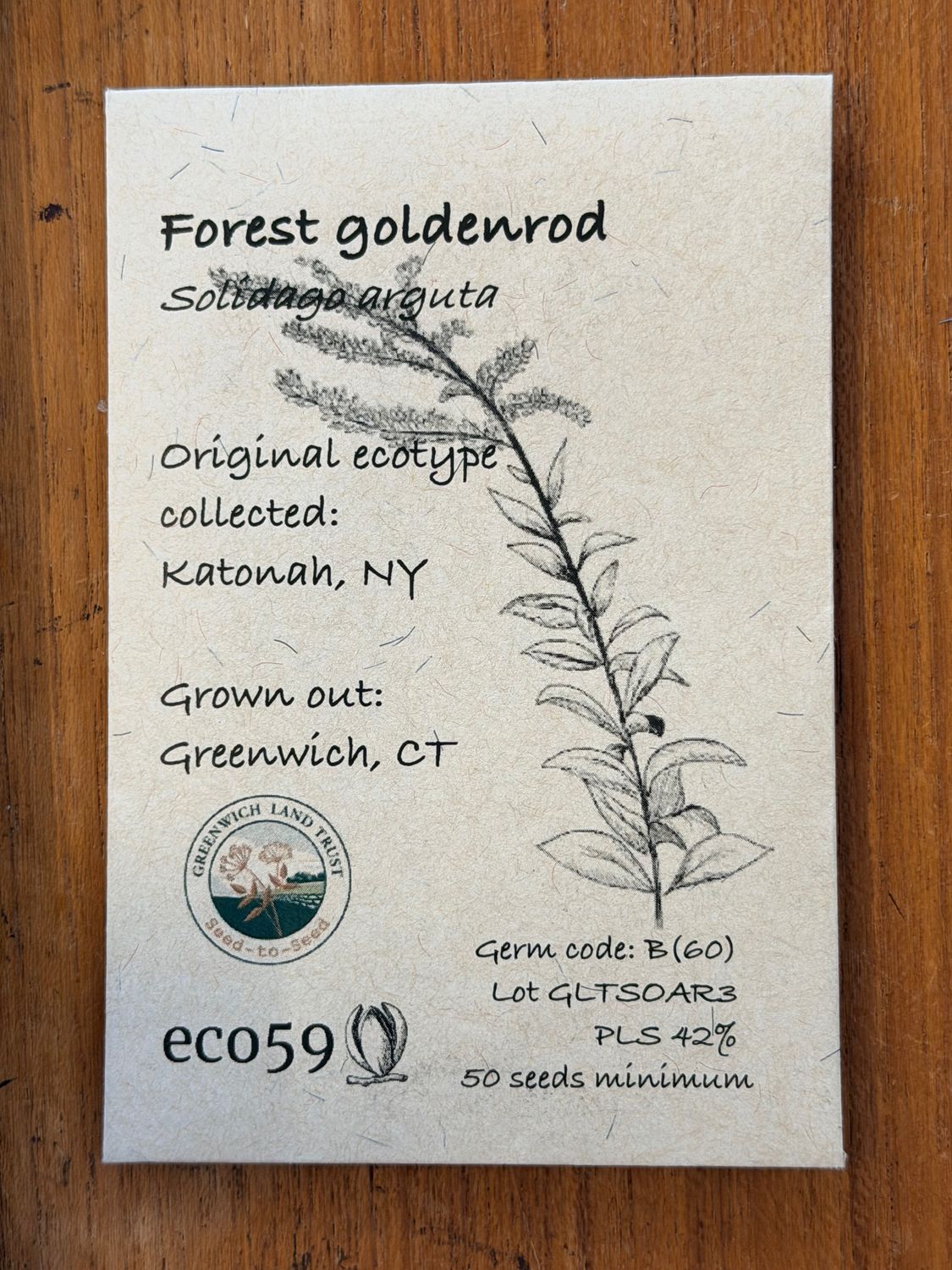 Forest Goldenrod Seeds