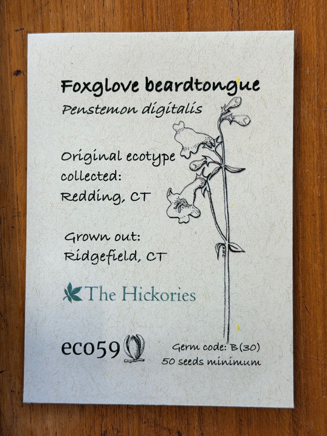 Foxglove Beardtongue Seeds