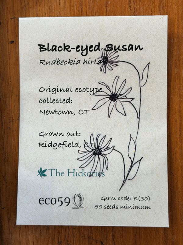Black-eyed Susan Seeds
