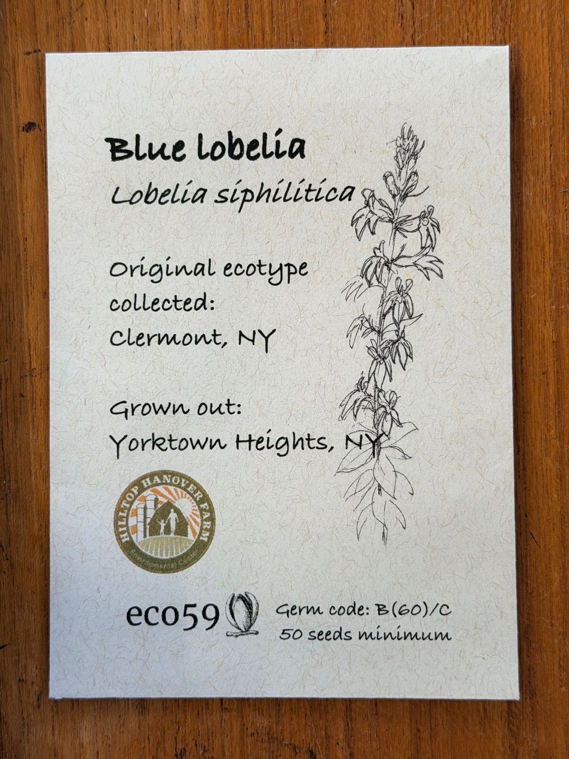 Blue Lobelia Seeds