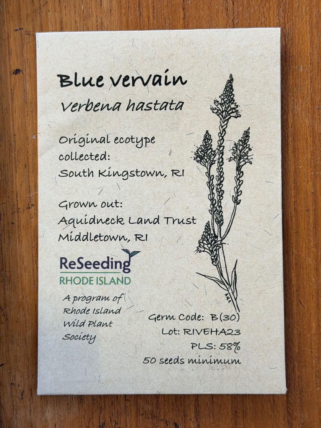 Blue Vervain Seeds