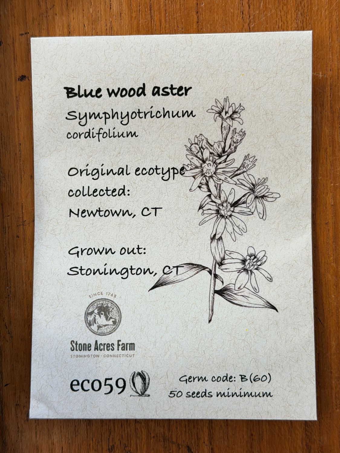 Blue Wood Aster Seeds