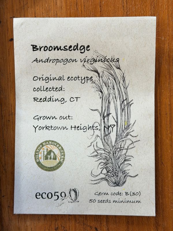 Broomsedge Seeds