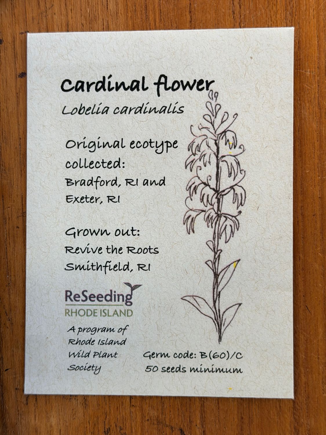 Cardinal Flower Seeds