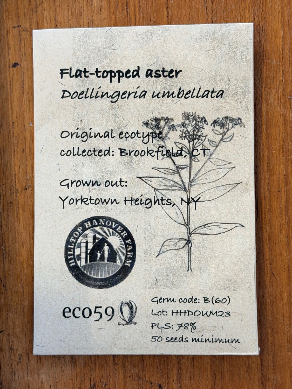 Flat-topped Aster Seeds