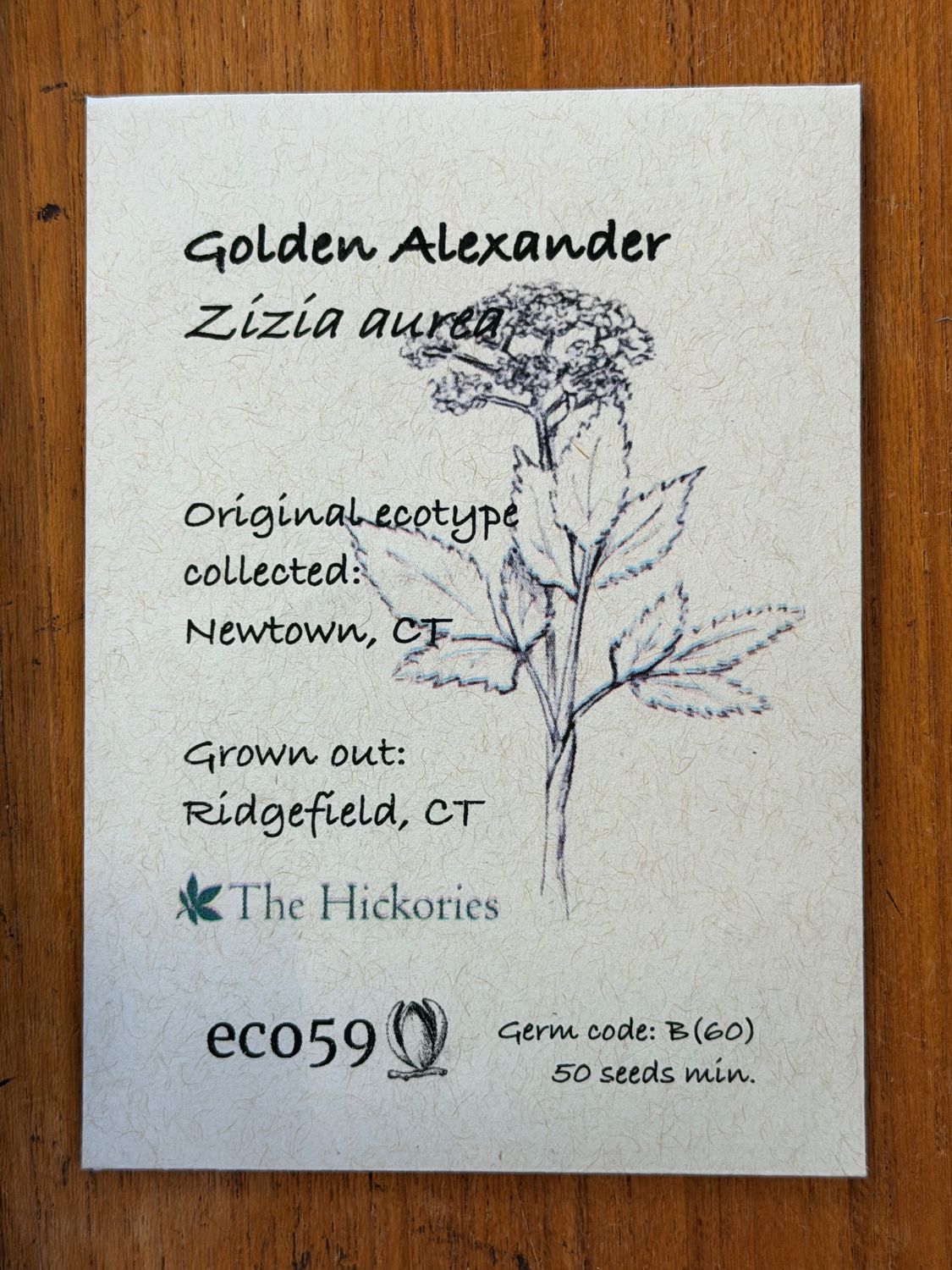 Golden Alexander Seeds