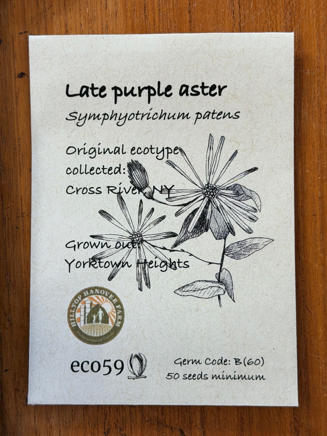Late Purple Aster Seeds