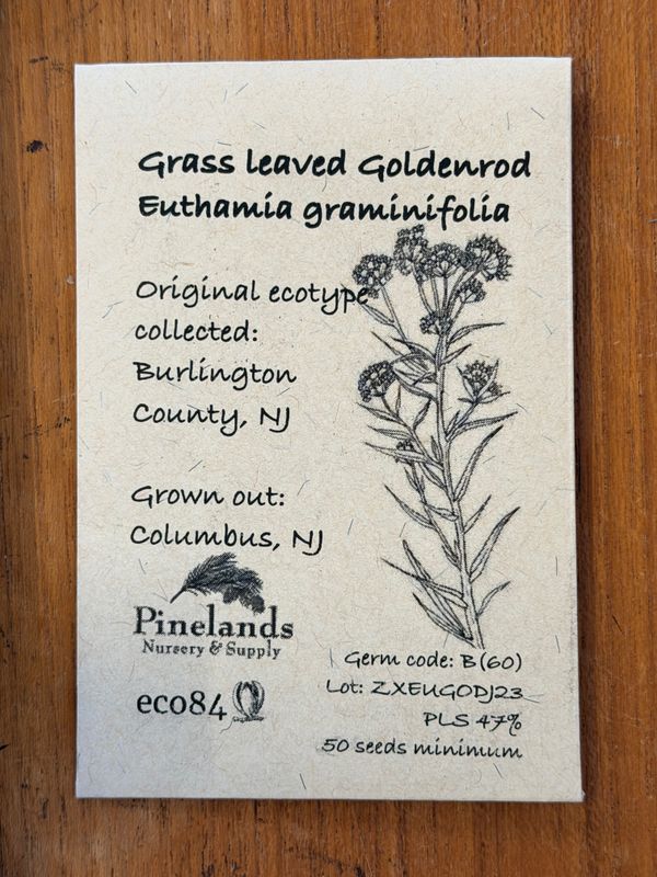 Grass Leaved Goldenrod Seeds