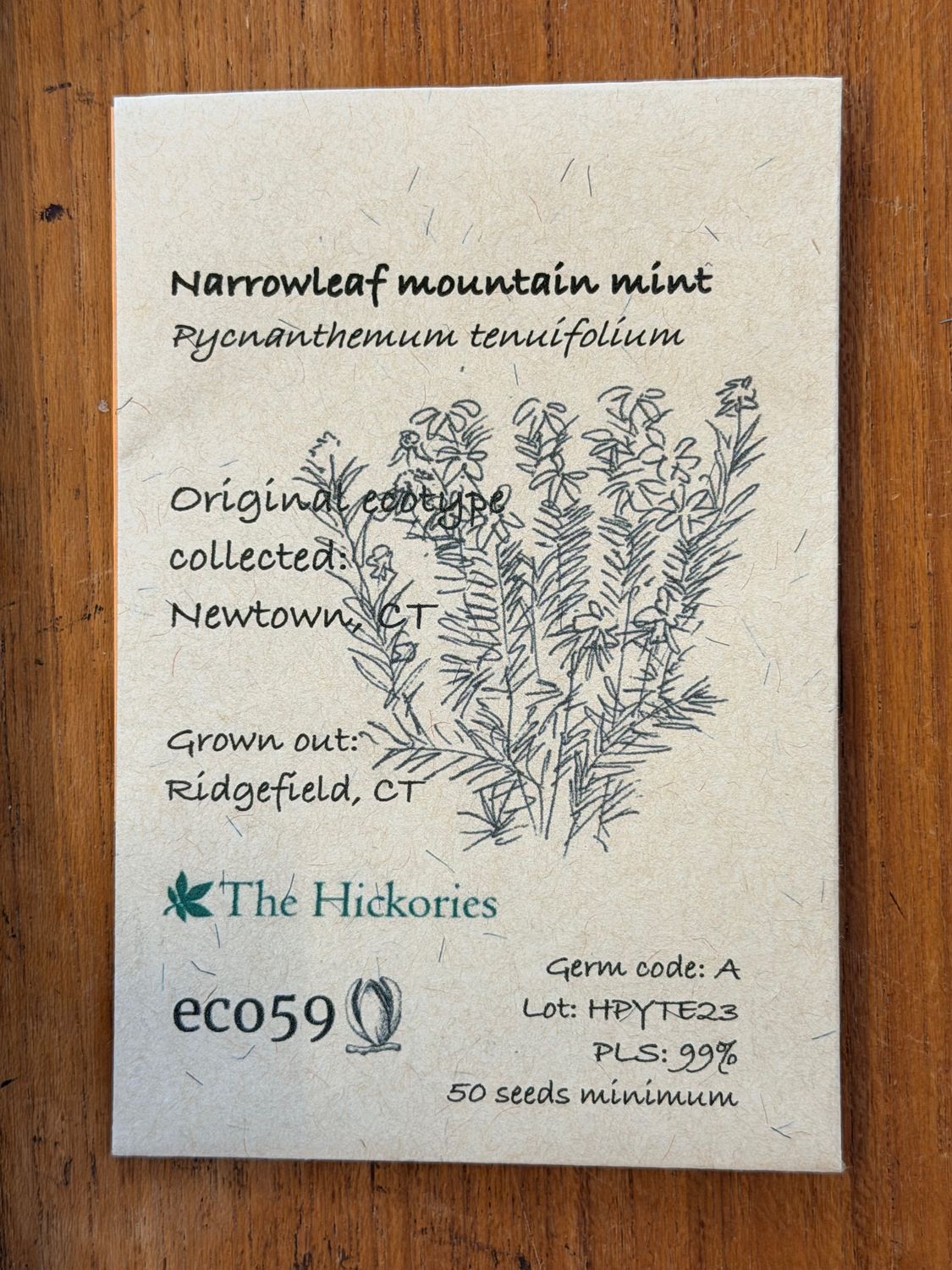 Narrowleaf Mountain Mint Seeds