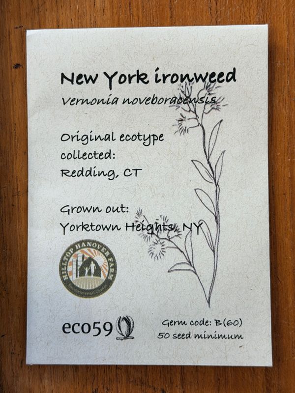 New York Ironweed Seeds