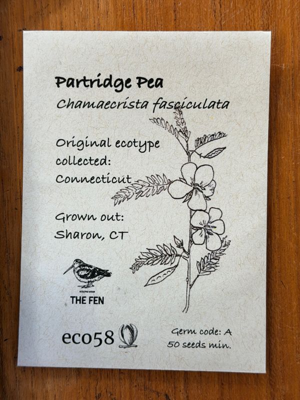 Partridge Pea Seeds
