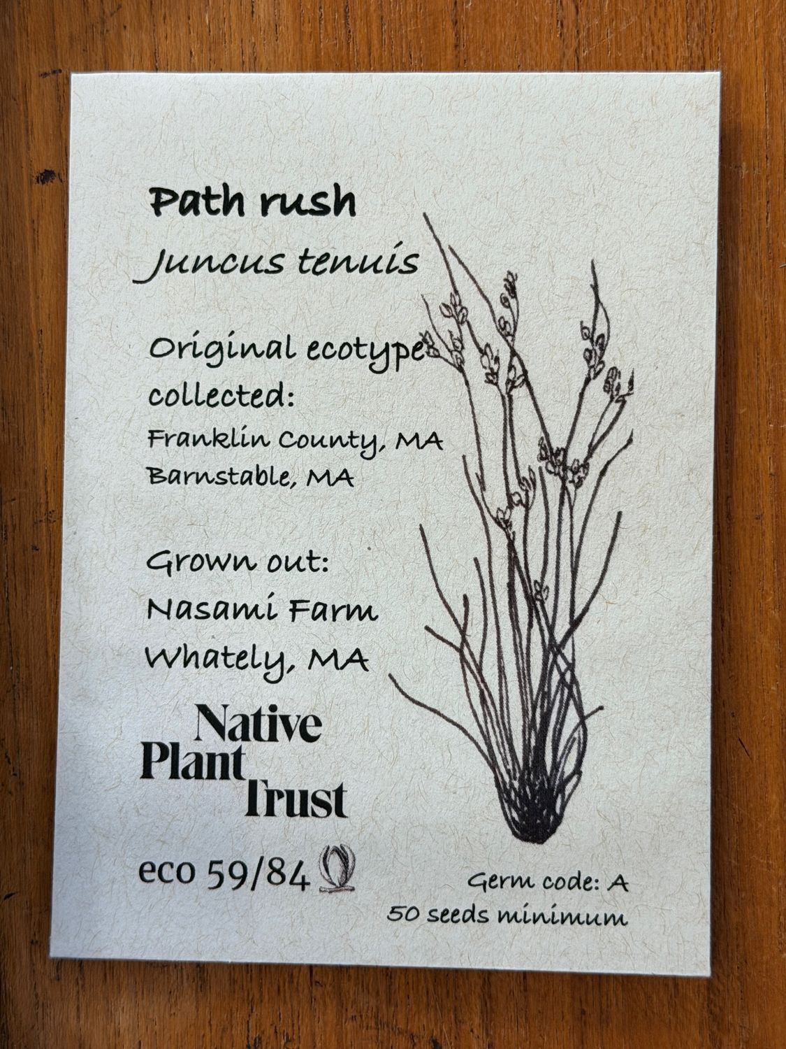 Path Rush Seeds